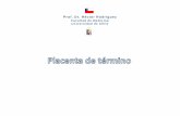 Facultad de Medicina Universidad de Chile - Atlas Histológico de termino.pdf · Placenta de término. Placenta de término. Placenta de término. Facultad de uedficfina Unfiversödad
