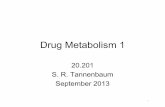 Drug Metabolism 1 - MIT OpenCourseWare · Basic Drug Metabolism . Drug . Conjugation. Excretion . Cytochrome P450 oxidation . Metabolic . ... X = NR”, S R. X R' O. N or S oxide.