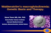 Waldenström s macroglobulinemia: Genetic …...Waldenström’s macroglobulinemia: Genetic Basis and Therapy. Steve Treon MD, MA, PhD Dana Farber Cancer Institute Harvard Medical