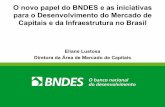 O novo papel do BNDES e as iniciativas para o ... · da conservação e do uso sustentável da Amazônia Legal. A Noruega é o mais investidor do Fundo Amazônia, tendo doado + de