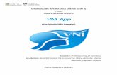 VNI Appmcoimbra/lectures/SIM_1718/SIM_1415... · 1.1. Ventilação Não Invasiva (VNI) ... monitorização e manuseamento em agudização e com equipas multidisciplinares [2].