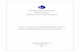 Universidade Federal de Uberlândia Instituto de Química … · 2016-06-23 · Síntese e caracterização da metilcelulose produzida a partir do caroço de manga para aplicação