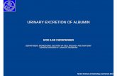 URINARY EXCRETION OF ALBUMIN - nephro-necker.org · urinary excretion of albumin ... tojo and endou [12], ... 105, 1353-1361 2000. renal albumin handling in megalin knock out mice