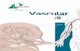 Vascular Access - EDTNA/ERCA · Vascular Access Cannulation and Care A Nursing Best Practice Guide for Arteriovenous Fistula This book is an initiative of Maria Teresa Parisotto (Director