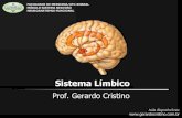 Sistema Nervoso Sistema Límbico - Dr. Gerardo Cristinogerardocristino.com.br/novosite/aulas/neurologia-neurogirurgia/sis... · Áreas da emoção Emoção Componente interno (central,