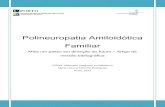 Polineuropatia Amiloidótica Familiar · Figura 1 - Protocolo de consultas para teste pré-sintomático na PAF, Doença de Machado-Joseph e Doença de Huntington. Polineuropatia Amiloidótica
