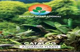 catalog - Stoffels International B.V. · stoffels international aquarium plant catalog 3 8 886345 100122 price coDe art. nr. 10012 2 8 886345 100429 price coDe ... art. nr. 10152
