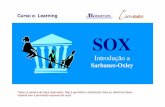 Sarbanes-Oxley - tiexames.com.brtiexames.com.br/SOX/Sarbanes_1.pdf · Histórico e Visão Geral da Lei Sarbanes-Oxley e exercícios. MÓDULO 1. Módulo 1 ... ligados a Enron estão