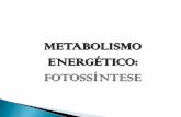 METABOLISMO ENERGÉTICO: FOTOSSÍNTESE · METABOLISMO ENERGÉTICO: FOTOSSÍNTESE . Para que serve esse processo? 6CO 2 ... FOTOSSiNTESE BASICA dióxldo de carbono . Title: Slide 1