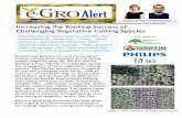 Increasing the Rooting Success of Challenging Vegetative ...e-gro.org/pdf/2016_506.pdf · Volume 5, Number 6 February 2016 Increasing the Rooting Success of Challenging Vegetative