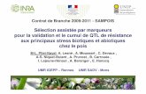 Sélection assistée par marqueurs pour la validation et le ... · UMR IGEPP – Rennes UMR SADV - Mons Contrat de Branche 2009-2011 - SAMPOIS. Enjeux socio-économiques Pois protéagineux