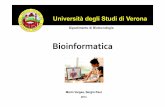 Bioinformatica - · PDF file La bioinformatica è la disciplina scientifica che cerca di risolvere problemi biologici mediante l’elaborazione informatica dell’informazione proveniente