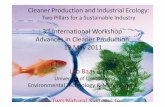 Cleaner Production and Industrial Ecology · Cleaner Production and Industrial Ecology: ... SENAI document 2008. 9. SENAI 2008 10 SENAI, ... (M.Sc. Industrial Ecology, ...