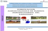 ZONIFICACION AGROECOLOGICA DE RUBROS AGROPECUARIOS …mag.gov.py/dgp/ZONIFICACION AGROECOLOGICA ZAFRA 2012 2013.pdf · AGROECOLOGICA DE RUBROS AGROPECUARIOS DEL PARAGUAY ... proceso