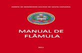 MANUAL DE FLÂMULA - bombeiros.pt · CENTRO DE ENSINO BOMBEIRO MILITAR CAPÍTULO 1 INTRODUÇÃO ARTIGO I GENERALIDADES 1.1. FINALIDADE DO MANUAL A finalidade deste Manual é estabelecer