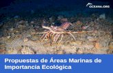 Áreas marinas de importancia ecológicaawsassets.wwf.es/downloads/2011_09_22_1_2_r_aguilar_jornadas_wwf.pdf · Áreas marinas de importancia ecológica Propuestas de Áreas Marinas