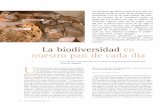 La biodiversidad en - cestaurbide.files.wordpress.com del pan se detuvo hace menos de un siglo al caer en una selección, una simplificación y un monopolio excesivamente peligrosos;
