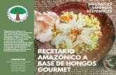 RECETARIO AMAZÓNICO A - amisacho.comamisacho.com/recetario-amisacho.pdf · RECETARIO AMAZÓNICO A BASE DE HONGOS GOURMET Amisacho se enfoca en el cultivode Hongos Gourmet como una