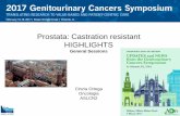 Prostata: Castration resistant HIGHLIGHTS - media.aiom.itmedia.aiom.it/userfiles/files/doc/AIOM-Servizi/slide/20170303MI_21... · Prostata: Castration resistant HIGHLIGHTS General
