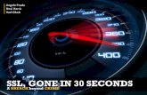 SSL, GONE IN 30 SECONDS br - BH 2013 -    SSL, GONE IN 30 SECONDS br each SSL, GONE