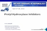 Prolyl Hydroxylase Inhibitors - HÔPITAL NECKER · TRF TRFR Extracellular matrix metabolism PAI1 MMP2 FN UPAR Transcriptional regulation ETS1 DEC1-2 pH regulation CA9 MCT4 NHE1 Mitochondrial