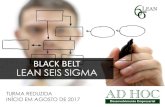 BLACK BELT LEAN SEIS SIGMA - funpectreinamentos.com.brfunpectreinamentos.com.br/sites/default/files/programacao/Folder... · genético da nossa futura liderança´ Jack Welch, CEO
