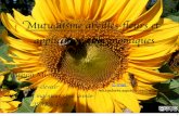 utualisme abei es- eurs e abeilles-fleurs.pdf · 1. Introduction Benoît Merlo 3 Un service éco-systémique «Ô combien complexes et imprévisibles sont les mécanismes de contrôle