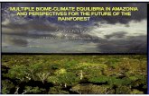 MULTIPLE BIOMEMULTIPLE BIOME-CLIMATE EQUILIBRIA IN ... · MULTIPLE BIOME-CLIMATE EQUILIBRIA IN AMAZONIA AND PERSPECTIVES FOR THE FUTURE OF THE ... Slide courtesy: IPAM. Focus on Amazonia.