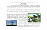 Levantamento avifaunístico da Fazenda Campo Grandeimoveisvirtuais.com.br/avifauna.pdf · O bioma restinga ocorre do sul até o norte do Brasil, apresentando várias áreas fragmentadas