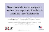 Canal carpien roquelaure - CHU de Rouen · Roquelaure et coll. 18-10-2008 2 Etude de l’impact potentiel de la prévention L’exemple du syndrome du canal carpien (SCC) • Compression