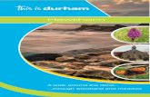 Hawthorn - Heritage Coastheritagecoast.wp-sites.durham.gov.uk/.../6/2015/01/hawthorn-web.pdf · Hawthorn Dene is the second largest dene in the county with unspoilt semi-natural broadleaved