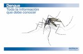 Vector: Un artrópodo que transﬁere un agente de una fuente de · • La sobrevivencia de los mosquitos depende de la capacidad para alimentarse, reproducirse, protegerse y dispersarse.