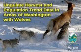 Ungulate Harvest and Population Trend Data in Areas of Washington … · Ungulate Harvest and Population Trend Data in Areas of Washington with Wolves. Can Wolves Impact Prey Numbers?