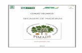 SECAGEM DE MADEIRAS - pimads.org - Secagem de Madeiras... · A atual conjuntura do setor das indústrias brasileiras de base florestal, no que se refere ao segmento dos manufaturados