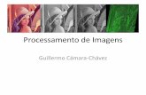 Processamento de Imagens - DECOM-UFOP · Projeto de Pesquisa •Estudo, Análise e Testes de uma aplicação de Processamento de Imagens: –Definir um projeto de estudo e análise