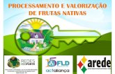 PROCESSAMENTO E VALORIZAÇÃO DE FRUTAS NATIVAS - …©-Ca... · DE FRUTAS NATIVAS!! ... Construindo novas dinâmicas de abastecimento ... qualidade das frutas, independentemente