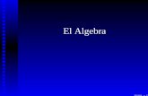 El Algebra - cms.dm.uba.arcms.dm.uba.ar/Members/jpinasco/historia18/jpp-algebra.pdf · Etapas del Algebra (Primaria, ··· - 1550) Números: simbolismo para los propios números.