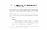 13 Limits and the Foundations of Calculus - CaltechAUTHORS · 13 Limits and the Foundations of Calculus We have· developed some of the basic theorems in calculus without reference