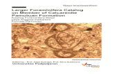 LARGER FORAMINIFERA CATALOG - ftgeologi.unpad.ac.idftgeologi.unpad.ac.id/wp-content/.../Larger-Foraminifera-Catalog-On... · LARGER FORAMINIFERA CATALOG ON MEMBER OF CALCARENITE PAMUTUAN