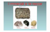 I minerali e le rocce - buccarimarconi.edu.it · licheni, i muschi , i funghi e piccoli invertebrati. Quando questi organismi muoiono, i batteri decompositori demoliscono i loro residui