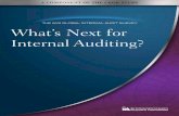 THE IIA’S GLOBAL INTERNAL AUDIT SURVEY What’s Next for ...s Next for Internal Auditing.pdf · The IIA’s Global Internal Audit Survey: A Component of the CBOK Study What’s
