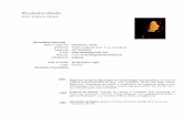 Elisabetta Abela - GEAL Lucca · Carta di rischio archeologico, comprendente le fasce territoriali ad alto potenziale archeologico. Committente: Comune di Pietrasanta. 1997 Incarico