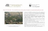 Parco di Centocelle - Una stratisficazione storica unica ... Centocelle/Dossier_WWF_Parco_di... · archeologico sulla fascia che costeggia Via Casilina). “Osteria di Centocelle,