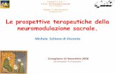 Le prospettive terapeutiche della neuromodulazione sacrale · Schmidt RA, Bruschini H ... Prof. Tanagho EA Department of Urology, UCSF, California 1982: ... C. Menconi, Pisa A. Carriero,