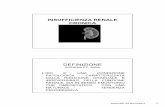Insufficienza renale acuta - renale acuta 2011.pdf  renale, con o senza riduzione del gfr, che possono