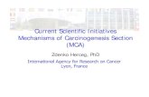 Current Scientific Initiatives Mechanisms of ...governance.iarc.fr/SC/SC48/SC48_AllSectionsCombined.pdf · Current Scientific Initiatives Mechanisms of Carcinogenesis Section (MCA)