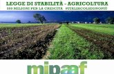 LEGGE DI STABILITÀ - AGRICOLTURA · 5.600 euro di aumento compensazione IVA ... agricoltura), prosegue l’azione di razionalizzazione degli enti collegati al Mipaaf. Per aumentare