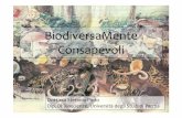 Seminario Biodiversità del suolo - biodiversamente.org ... · Classificazione in accordo con le preferenze eco-fisiologiche 6. Struttura delle catene trofiche. INDICI BASATI SULLA