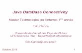 Java DataBase Connectivity - Eric Cariouecariou.perso.univ-pau.fr/cours/web/cours-JDBC.pdf · 1 Java DataBase Connectivity Master Technologies de l'Internet 1ère année Eric Cariou