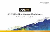 Advanced Techniques in ANSYS Meshing -  · PDF fileAdvanced Techniques in ANSYS Meshing